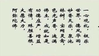 大拜八十八佛108拜视频,静心修行，感悟佛学智慧