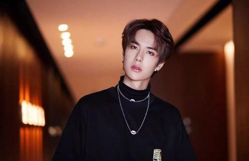 带王字的明星,揭秘娱乐圈中的璀璨王者