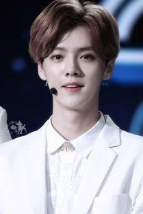 鹿晗爆料韩国女星视频,真相与争议并存