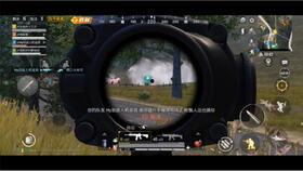 菜鸟爆料吃鸡视频下载免费,免费下载吃鸡视频，轻松享受游戏乐趣