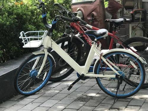 进口自行车爆料视频最新,最新爆料视频深度解析