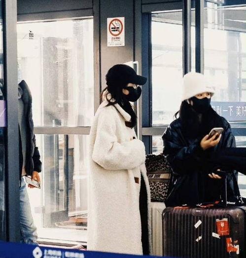 狗仔张小寒爆料视频全集,揭秘视频全集幕后真相