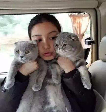 娱乐圈吃瓜猫咪是谁呀